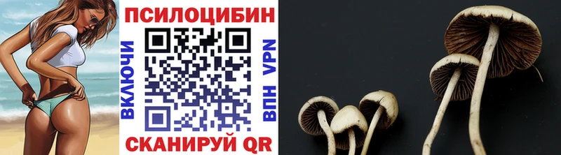 Псилоцибиновые грибы мицелий  Электросталь 
